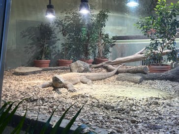 名古屋市東山動植物園に投稿された画像（2024/10/11）