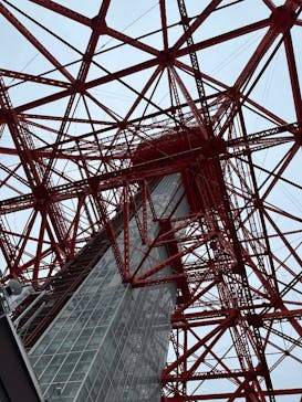 東京タワーに投稿された画像（2024/10/11）