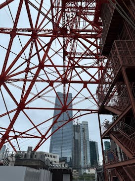 東京タワーに投稿された画像（2024/10/11）