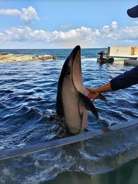 城崎マリンワールドに投稿された画像（2024/10/11）