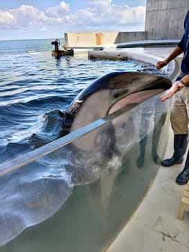 城崎マリンワールドに投稿された画像（2024/10/11）