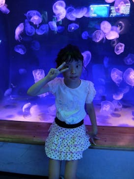 島根県立 しまね海洋館に投稿された画像（2024/10/9）