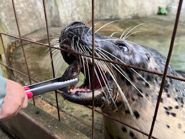 那須どうぶつ王国に投稿された画像（2024/10/11）