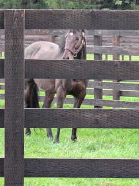 ノーザンホースパークに投稿された画像（2024/10/11）