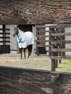 ノーザンホースパークに投稿された画像（2024/10/11）