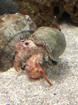 AOAO SAPPOROに投稿された画像（2024/10/11）