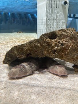 AOAO SAPPOROに投稿された画像（2024/10/11）