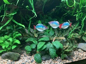 AOAO SAPPOROに投稿された画像（2024/10/11）