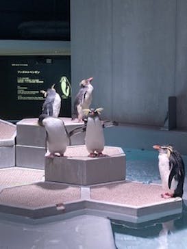 AOAO SAPPOROに投稿された画像（2024/10/11）