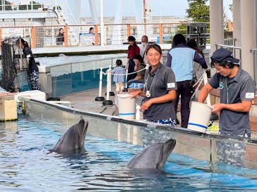 横浜・八景島シーパラダイスに投稿された画像（2024/10/11）