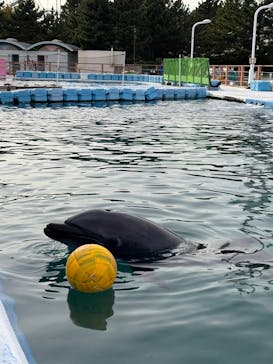 横浜・八景島シーパラダイスに投稿された画像（2024/10/11）