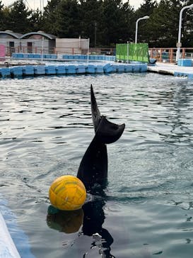 横浜・八景島シーパラダイスに投稿された画像（2024/10/11）