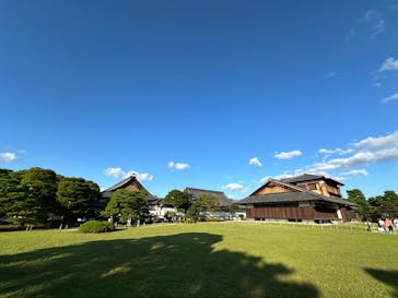 元離宮二条城に投稿された画像（2024/10/11）