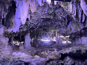 伊根湾めぐり遊覧船に投稿された画像（2024/10/11）