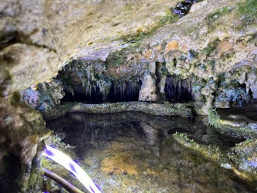 伊根湾めぐり遊覧船に投稿された画像（2024/10/11）