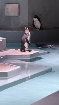 AOAO SAPPOROに投稿された画像（2024/10/11）