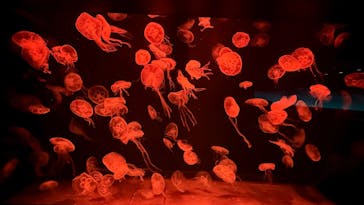 AOAO SAPPOROに投稿された画像（2024/10/11）