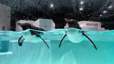 AOAO SAPPOROに投稿された画像（2024/10/11）