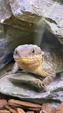 AOAO SAPPOROに投稿された画像（2024/10/11）