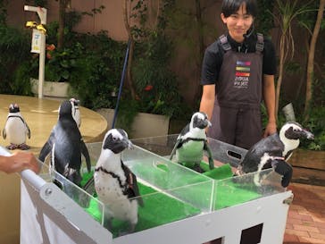 マクセル アクアパーク品川に投稿された画像（2024/10/11）