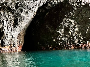 龍宮クルーズに投稿された画像（2024/10/11）