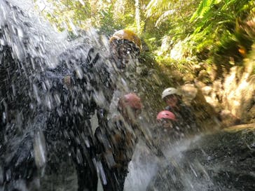 沖縄プロデュース カマダに投稿された画像（2024/10/11）