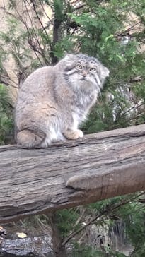 那須どうぶつ王国に投稿された画像（2024/10/11）