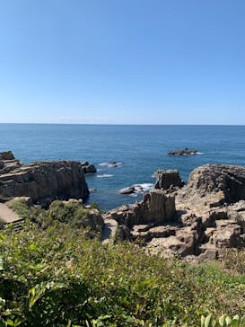 東尋坊観光遊覧船株式会社に投稿された画像（2024/10/11）