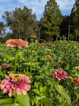 ムーミンバレーパークに投稿された画像（2024/10/11）