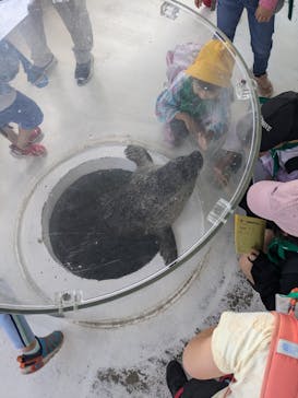 しながわ水族館に投稿された画像（2024/10/11）