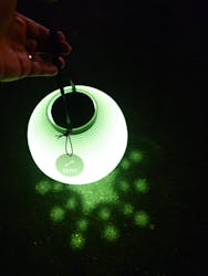 NAKED×京都水族館に投稿された画像（2024/10/11）