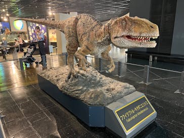 福井県立恐竜博物館に投稿された画像（2024/10/11）