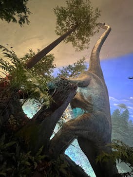 福井県立恐竜博物館に投稿された画像（2024/10/11）