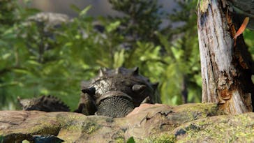 アソビュー株式会社 161694に投稿された画像（2024/10/11）