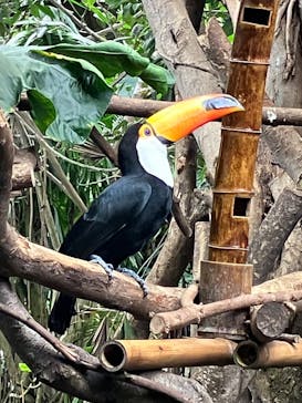 那須どうぶつ王国に投稿された画像（2024/10/11）