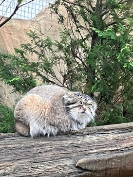 那須どうぶつ王国に投稿された画像（2024/10/11）