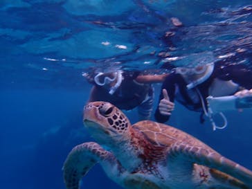 nico 宮古島に投稿された画像（2024/10/11）