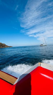 龍宮クルーズに投稿された画像（2024/10/11）