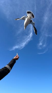 龍宮クルーズに投稿された画像（2024/10/11）