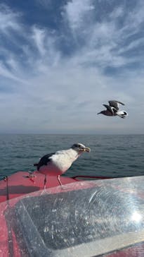 龍宮クルーズに投稿された画像（2024/10/11）