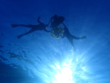 ダイビングショップ Sea Free（シーフリー）に投稿された画像（2024/10/11）