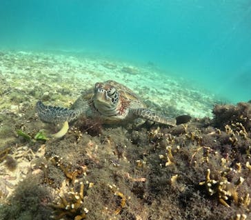 宮古島マリンショップSmileyに投稿された画像（2024/10/11）