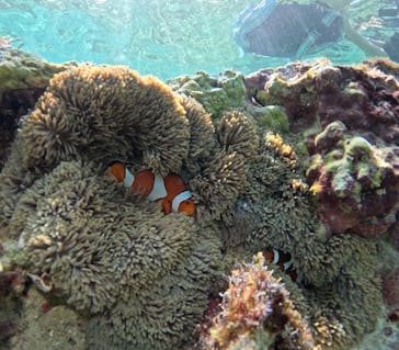 宮古島マリンショップSmileyに投稿された画像（2024/10/11）