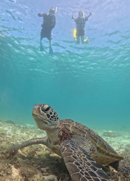 宮古島マリンショップSmileyに投稿された画像（2024/10/11）