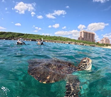 宮古島マリンショップSmileyに投稿された画像（2024/10/11）