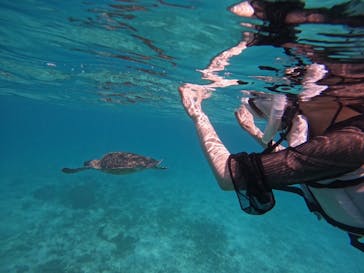 宮古島マリンショップSmileyに投稿された画像（2024/10/11）