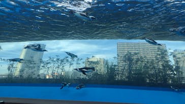 サンシャイン水族館に投稿された画像（2024/10/11）