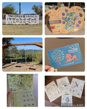 モビリティリゾートもてぎに投稿された画像（2024/10/11）