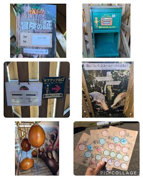 モビリティリゾートもてぎに投稿された画像（2024/10/11）