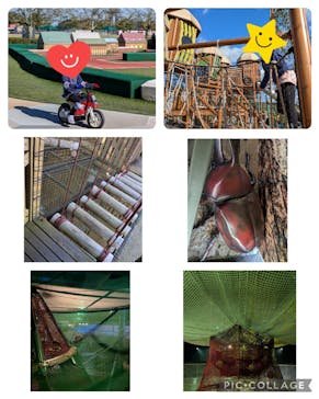 モビリティリゾートもてぎに投稿された画像（2024/10/11）